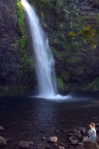 dreamstimefree_39403