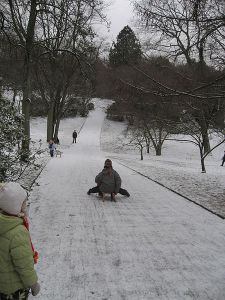 Courtesy of Wikimedia Commons