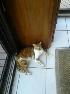 Sebastian in St. Thomas