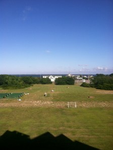 My view from the deck of the condo every morning. :)