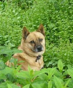 Jess in green for blog