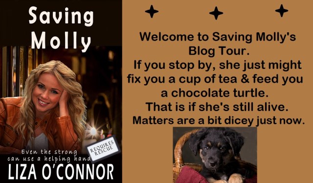 Saving Molly banner w puppy large
